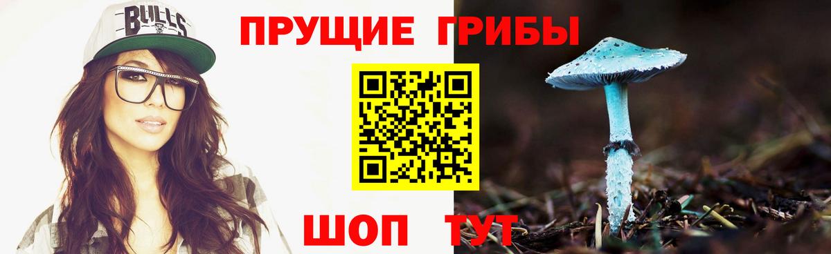 Галлюциногенные грибы мухоморы  Вход с VPN  Псилоцибиновые грибы мицелий  где можно купить   Коммунар 